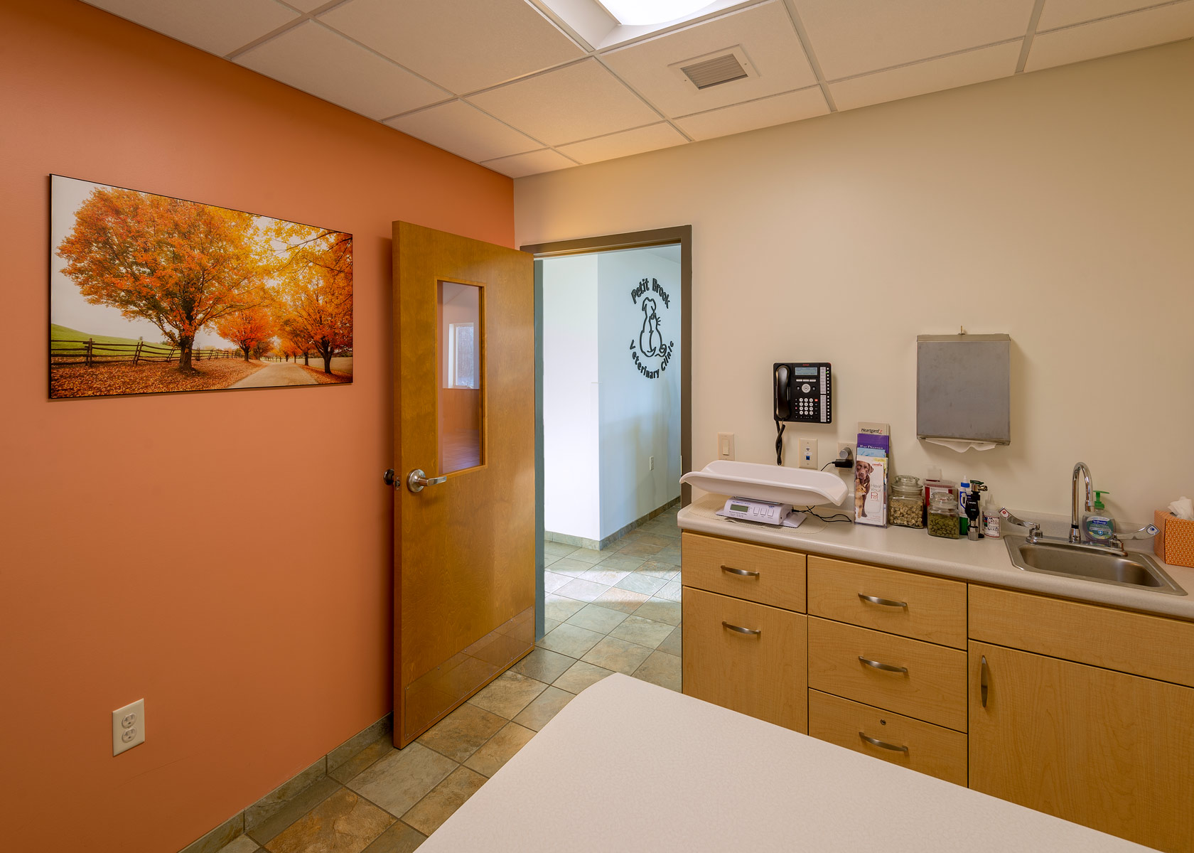 Petit Brook Veterinary Clinic Tour Vet In Colchester, VT