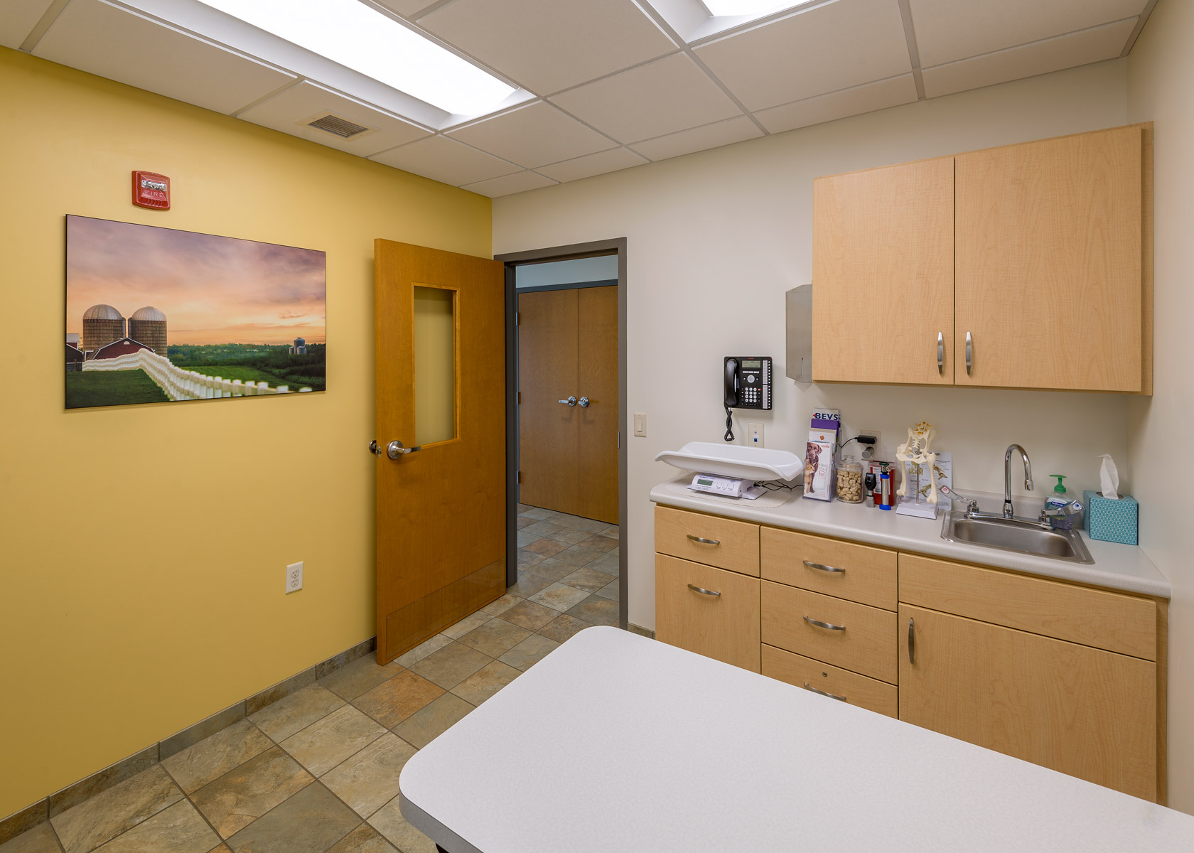 Petit Brook Veterinary Clinic Tour Vet In Colchester, VT