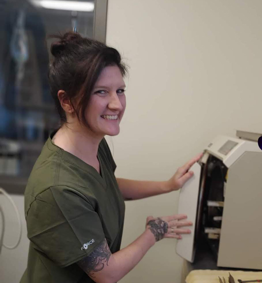 Veterinarian In Colchester, VT Petit Brook Vet Clinic