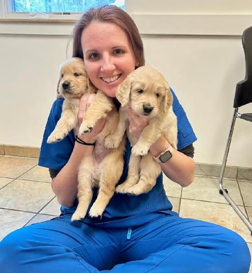 Veterinarian In Colchester, VT Petit Brook Vet Clinic