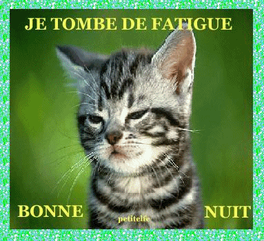 Piu Veloce Buonanotte Gatti Gif