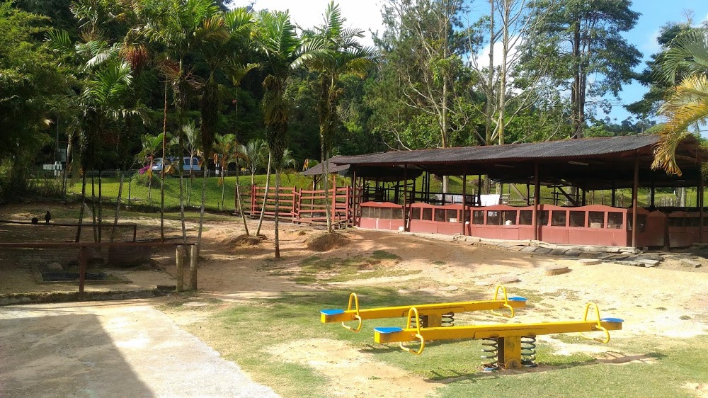 Rabbit Farm Bukit Tinggi