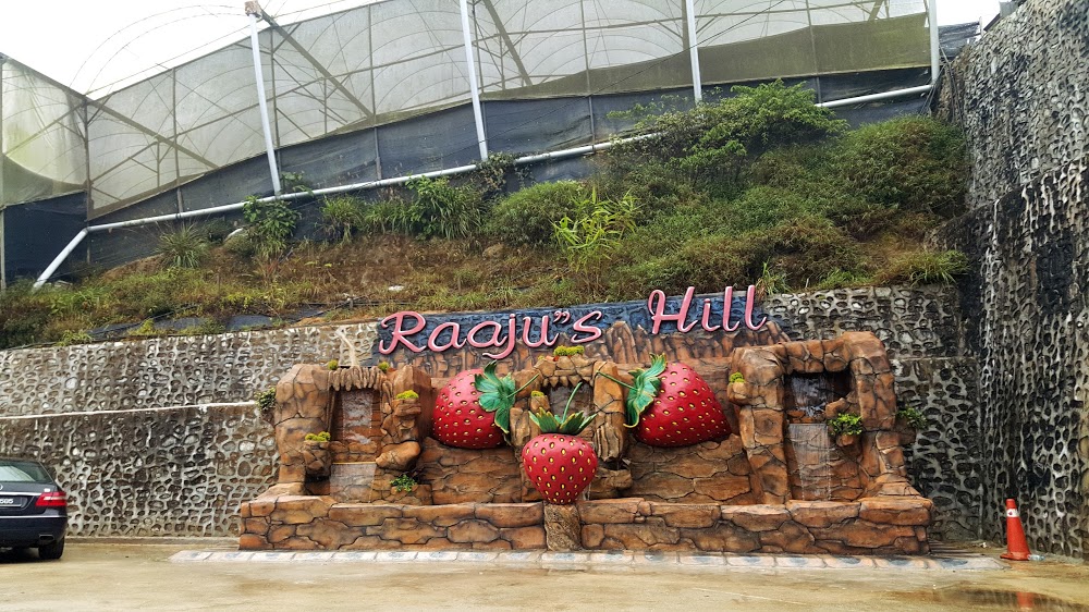 Raju Hill Strawberry Farm