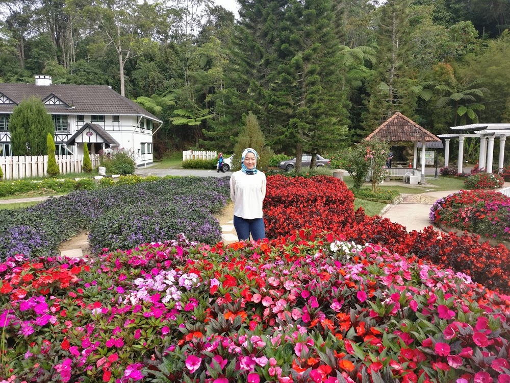 apartment taman agroteknologi mardi cameron highlands