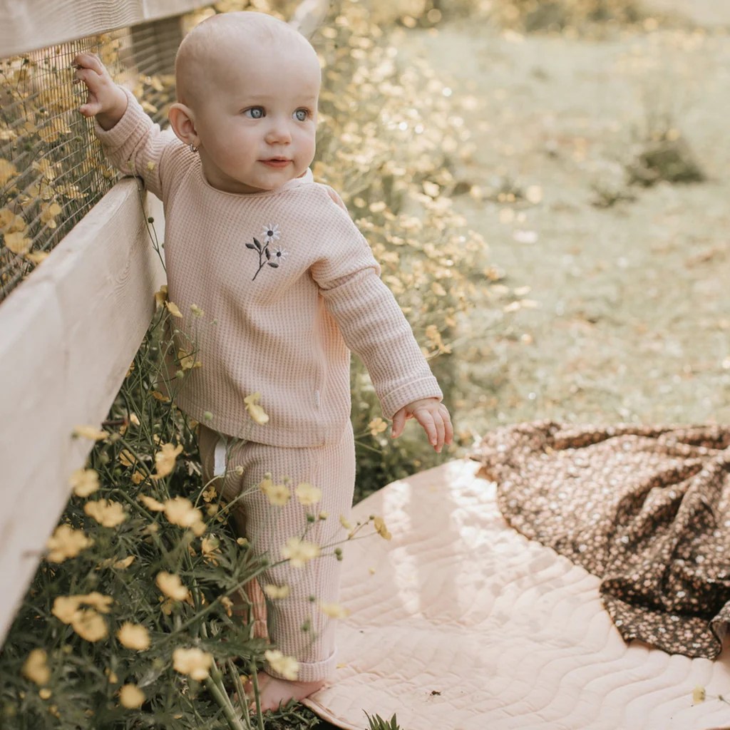 Petit Lem petitlem EN