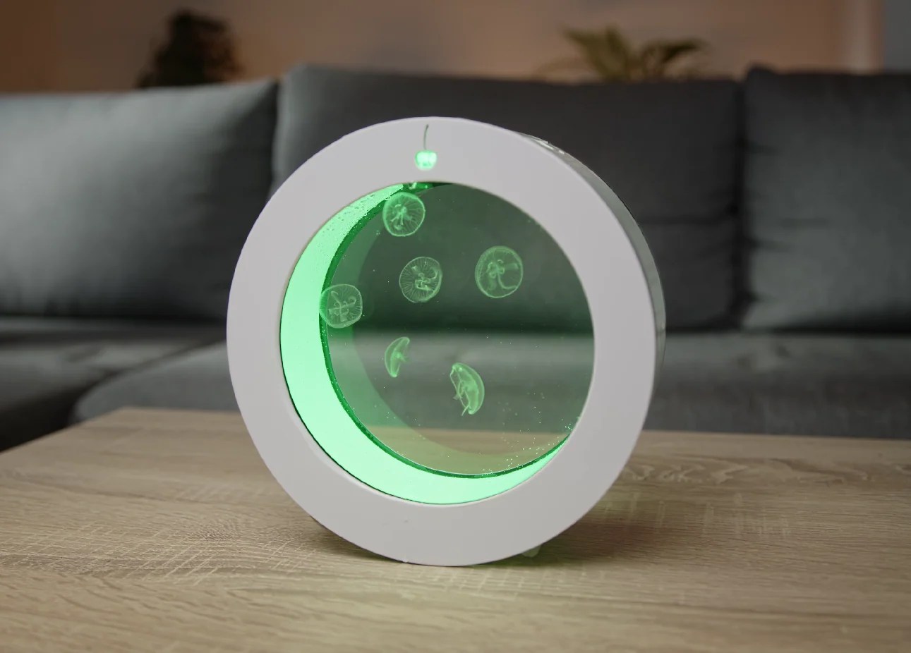 O2 Jellyfish Aquarium starter kit Pet Jellyfish At Home USA