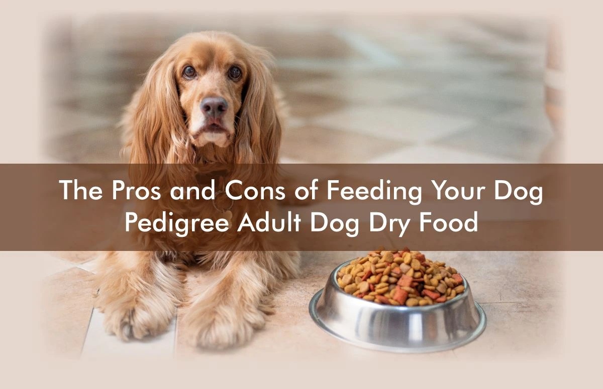 Pedigree Adult Dog Dry Food Reviews Pros and Cons