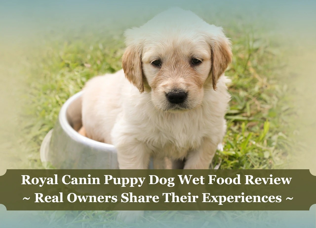 Royal Canin Puppy Dog Wet Food Reviews Real Owners' Insights