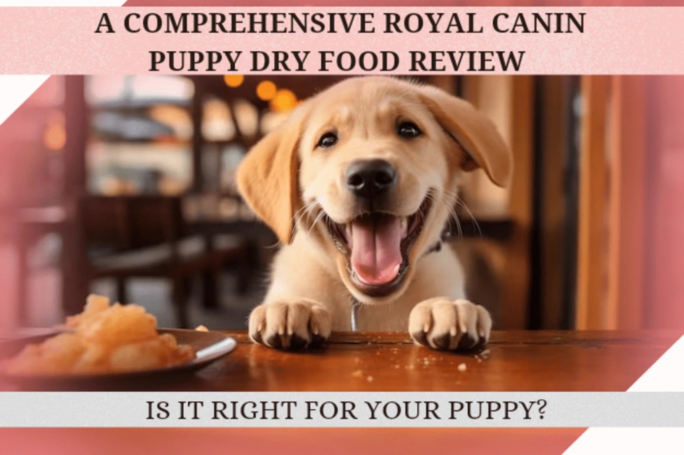 Royal Canin Puppy Dry Food Reviews