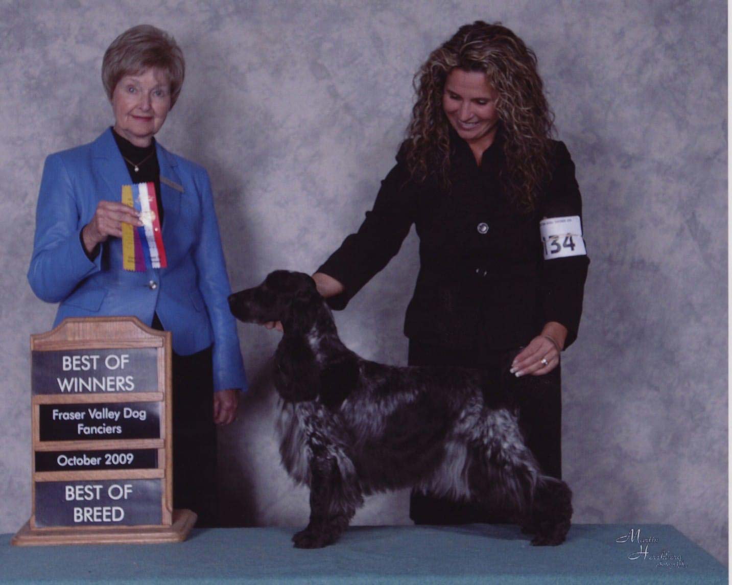 Gallery Archives Pet Junction Grooming and Pet Supplies