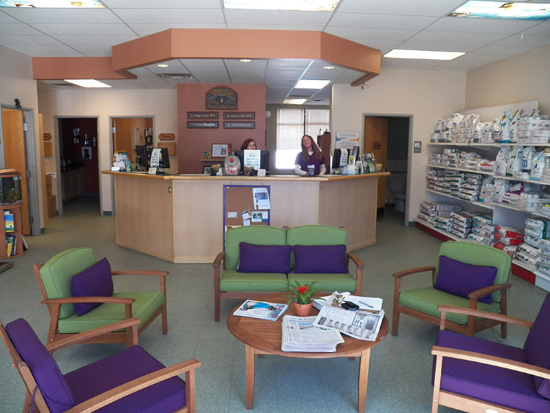 to Pet Kare, A Full Service Veterinary Clinic in Steamboat