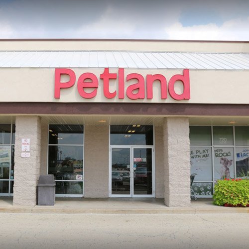 Petland Naperville Petland Pets & Puppies Chicago Illinois