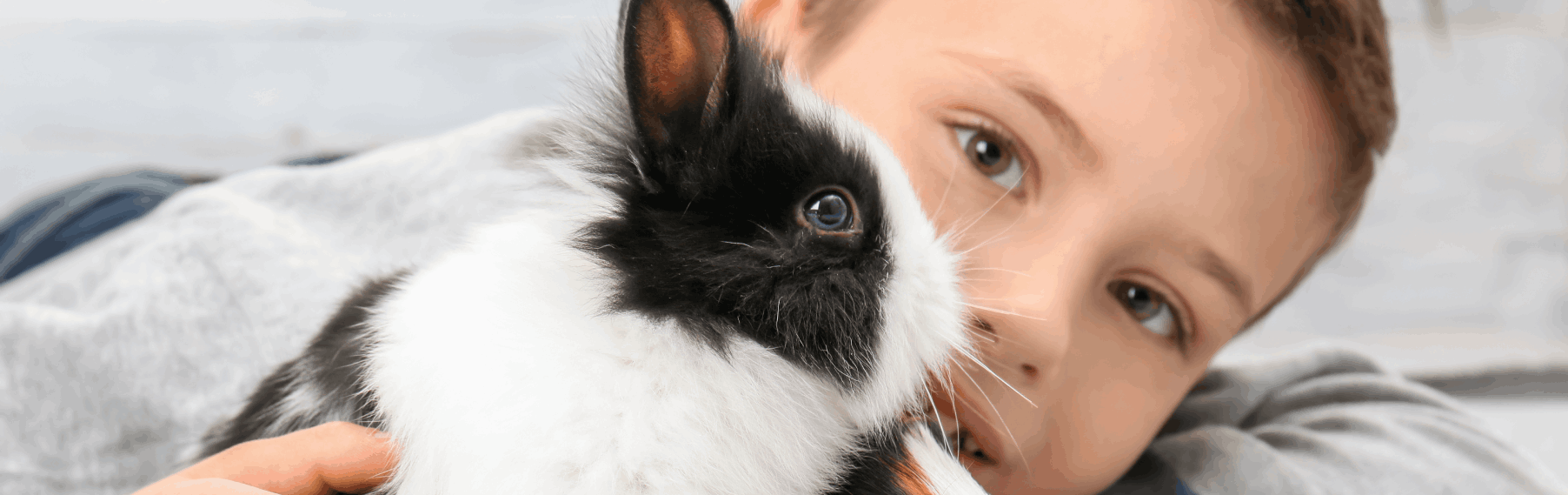 My First Pet Visit us at Petland Smithville Today!