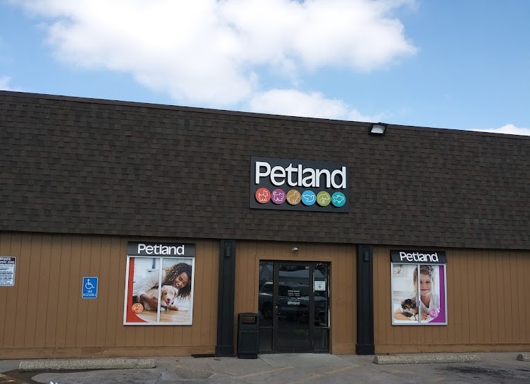 Petland Smithville Buy Premium Pets & Pet Supplies