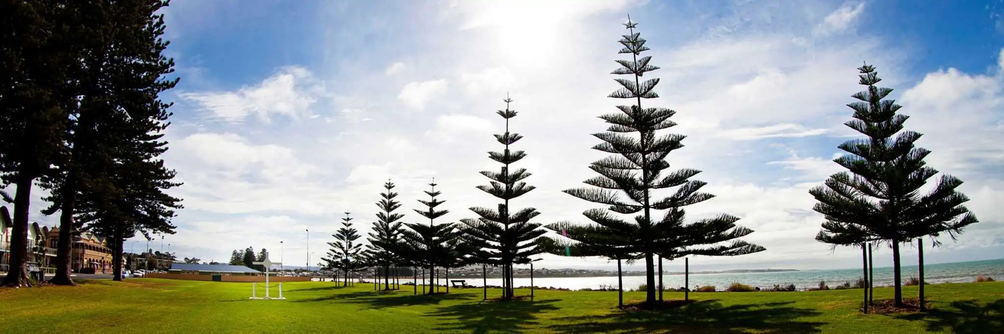 6 Perfect Picnic Spots on the Southern Fleurieu Peninsula
