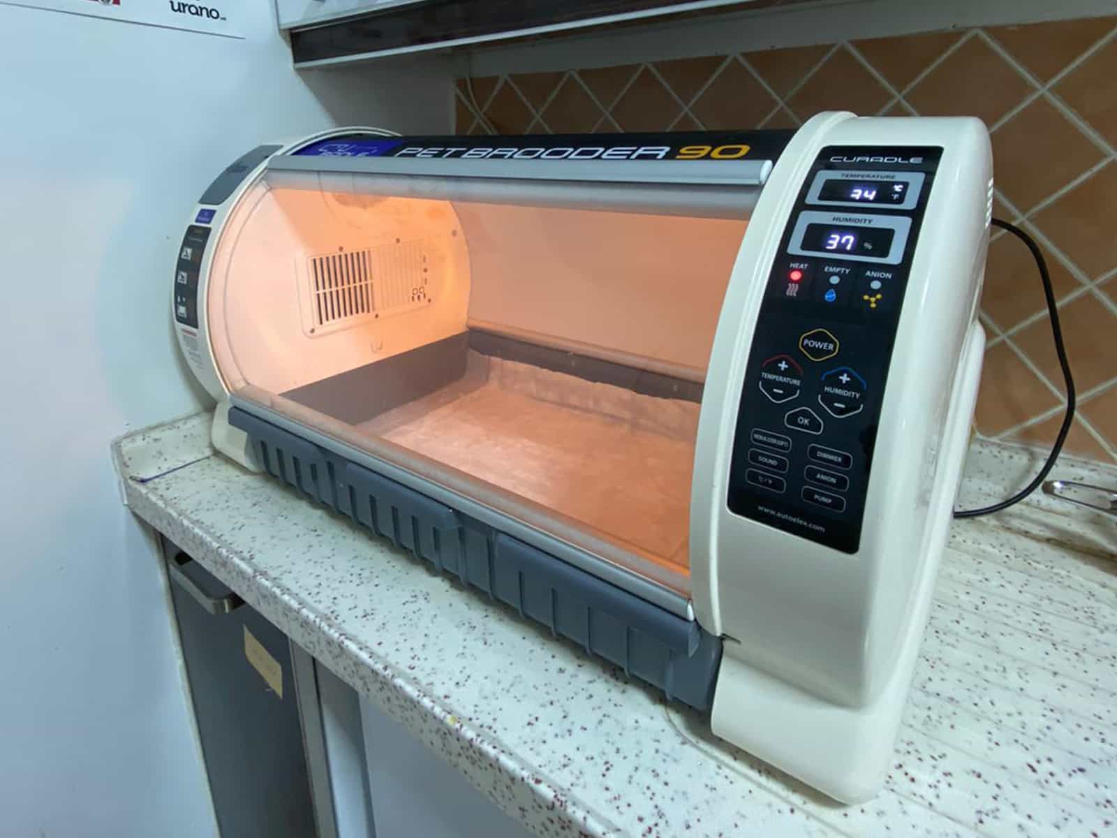 Galeri Pet Level Veteriner Kliniği Keçiören Ankara