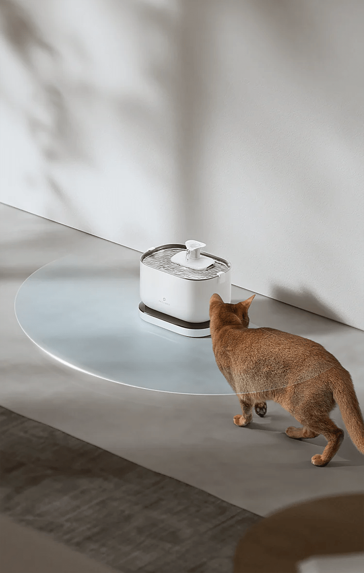 PETLIBRO Dockstream Wireless & Battery Operated Cat Water Fountain