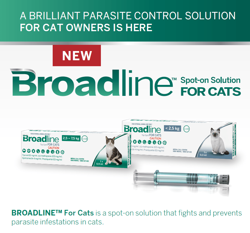 Parasite Control for Cats An Overview PetlifeSA