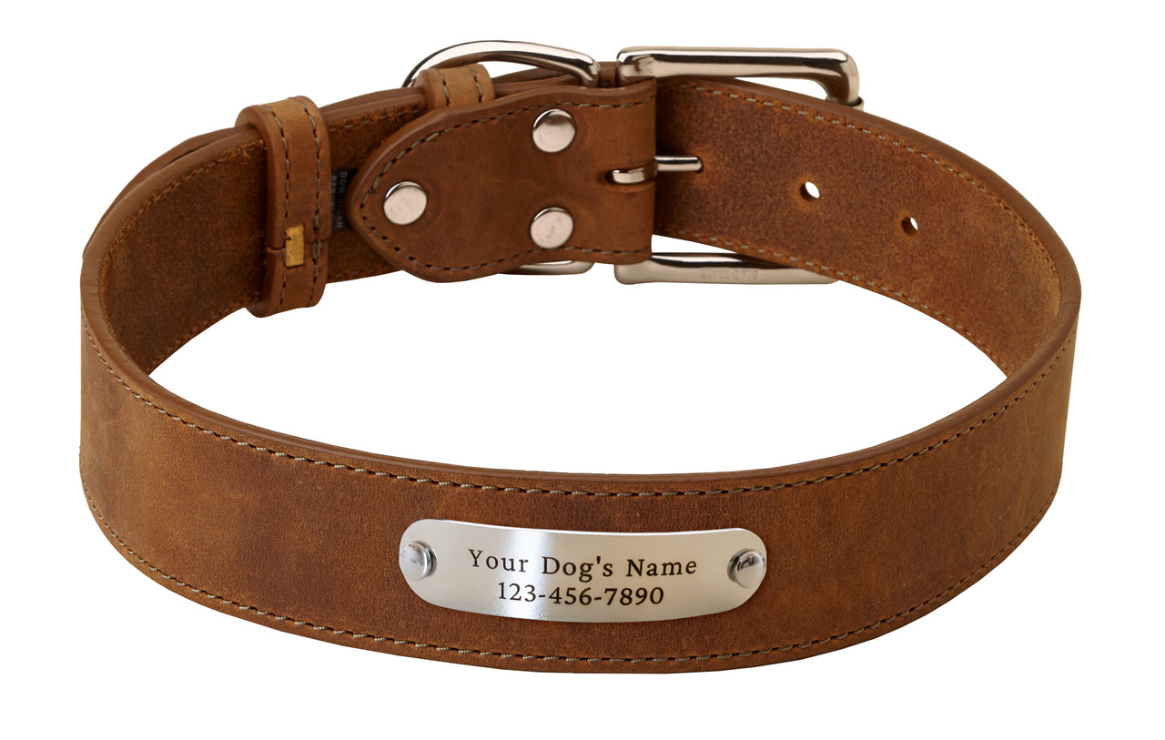 7 Best Leather Dog Collars [2021 Updated] Pet Life World