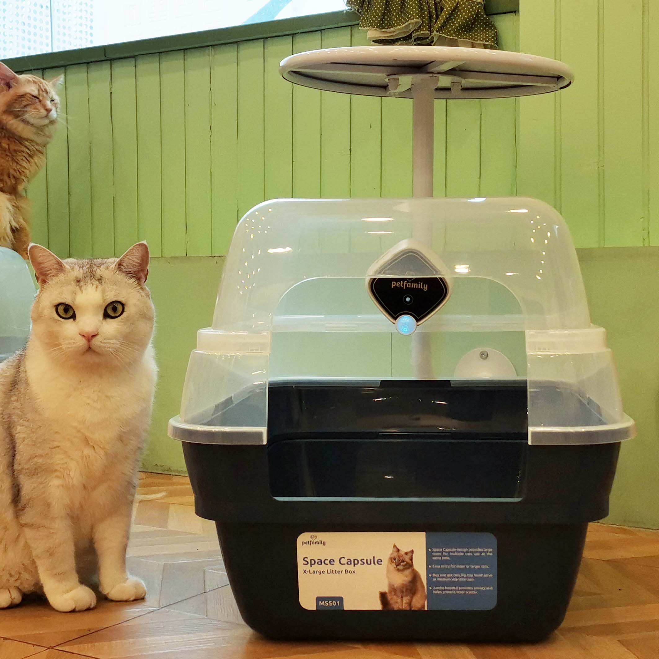 Petliking Blog - Does Your Deodorizer Only Cover the Odor Smell From Y