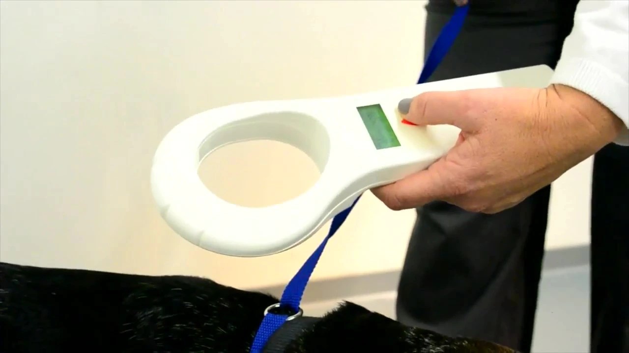 AAHA Microchip Lookup Tool PetLink