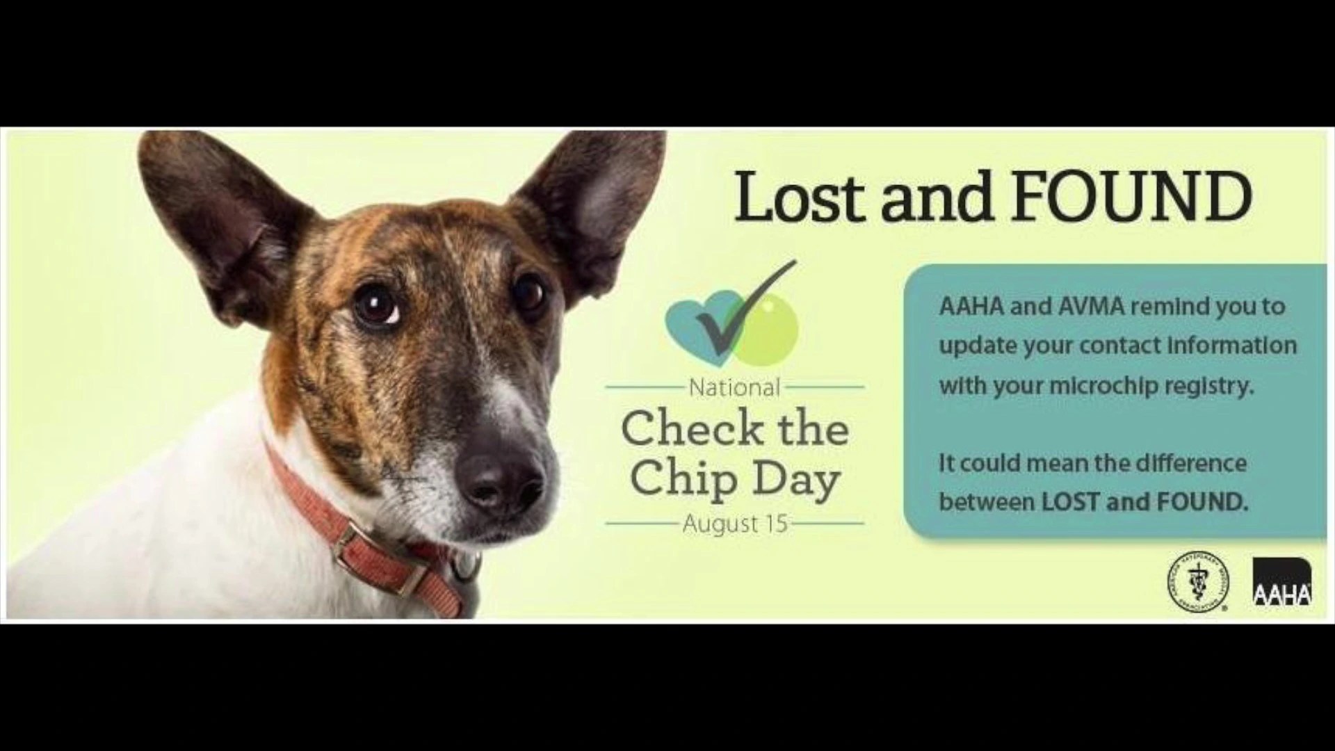 AAHA Microchip Lookup Tool PetLink