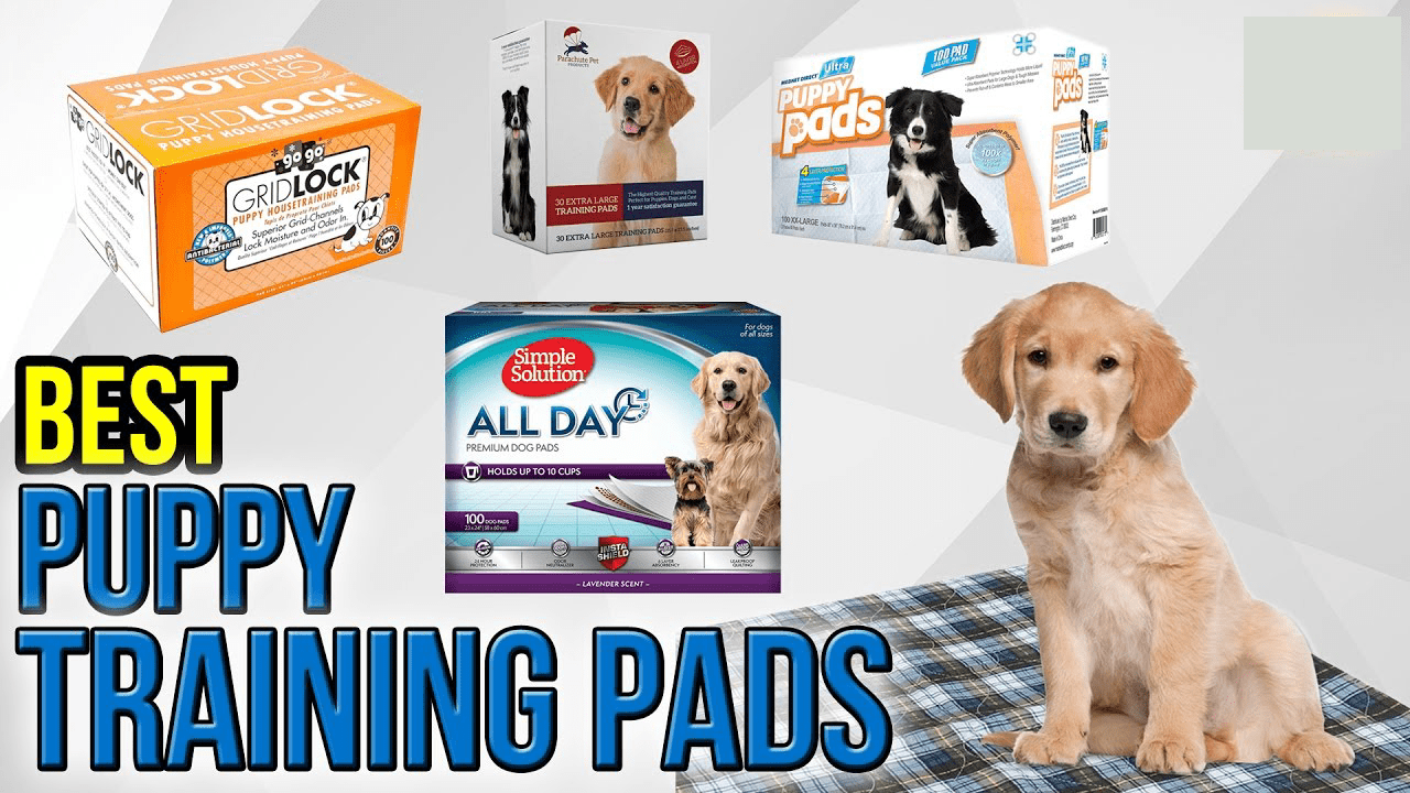 The 10 Best Puppy Training Pads of 2020