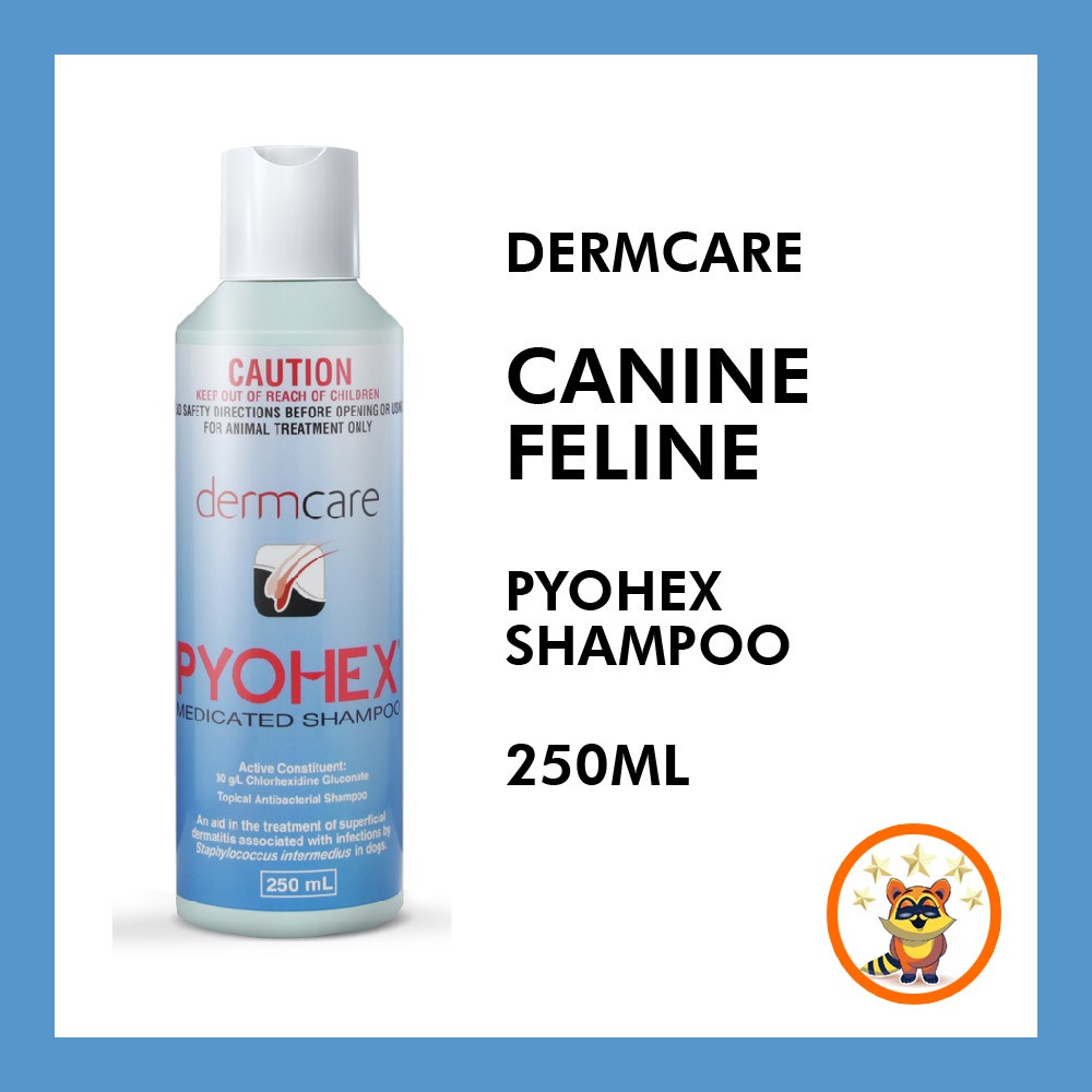 Pyohex Dermcare Shampoo 250ml Cat Kucing Dog Redrusa