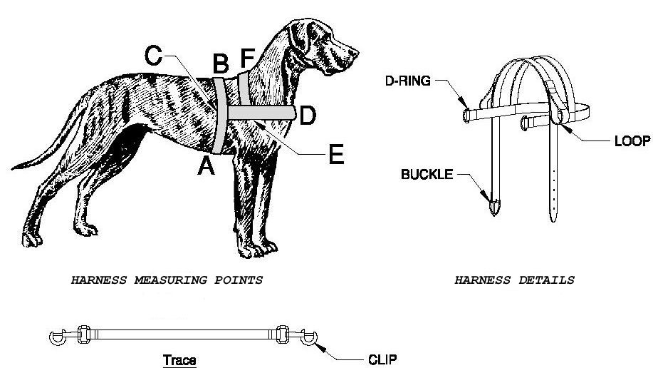 Dog Harness Carting/Drafting Leather Petlovers NZ Ltd