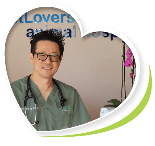 Pet Lovers Animal Hospital Fairfax, VA Veterinary Medicine