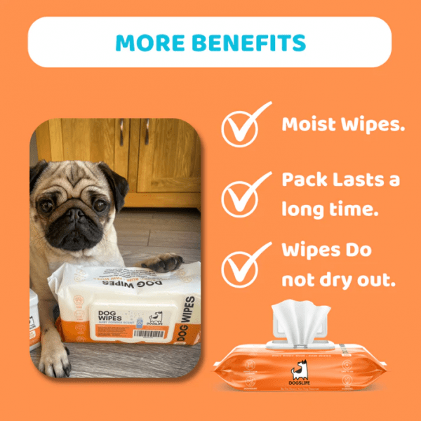 PetMaster Dogslife Wipes Scented Grooming (100 Pcs) Pet Master