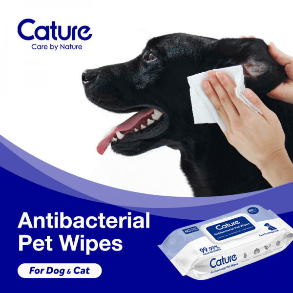 PetMaster Cature Pet Antibacterial Wipes 80pcs Pet Master Singapore