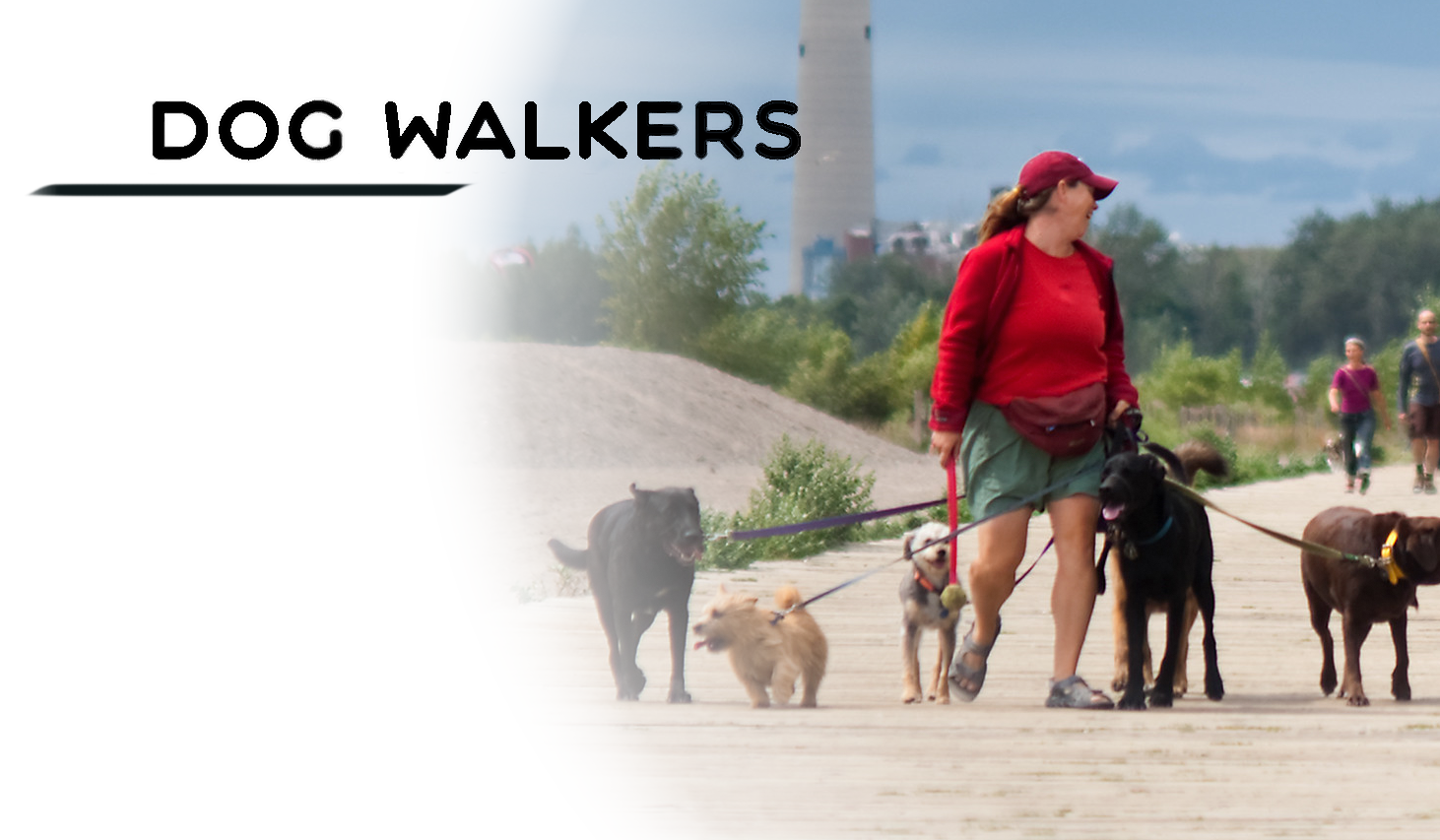 PetMobile ‣ Dog Walkers