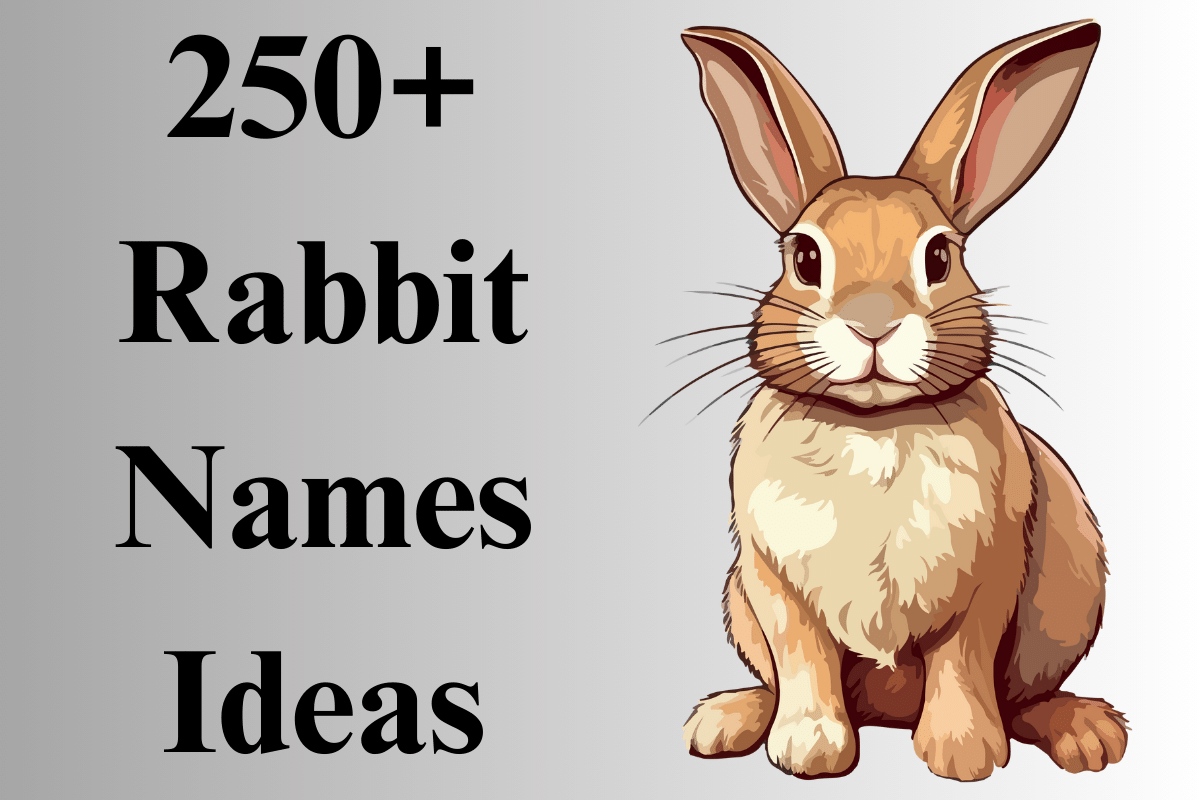 300+ Catchy Rabbit Names With Generator 2024