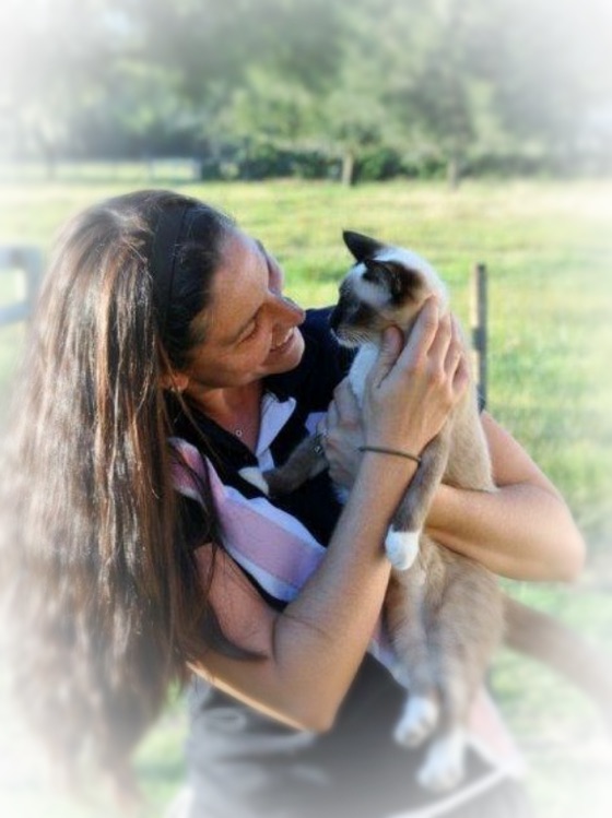 Pet Sitter in Palm Harbor Florida Best Pet Sitters near Palm Harbor FL