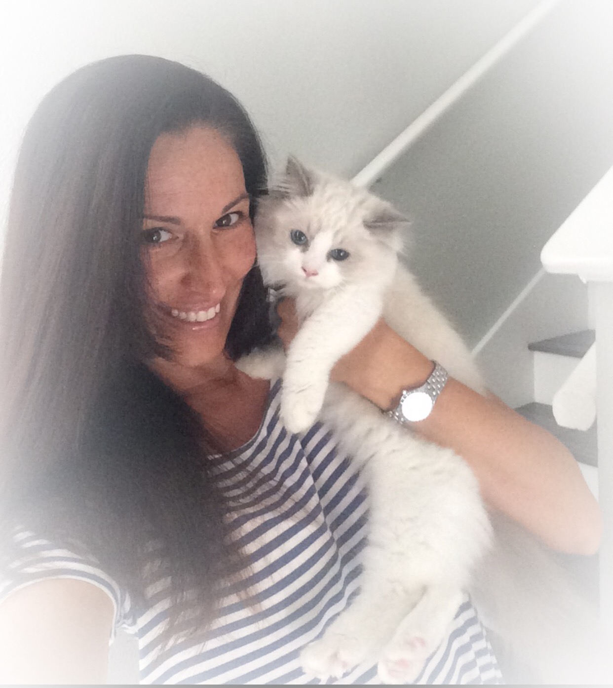 Cat Sitter in Palm Harbor, Best Cat Sitters / Boarding Service Near