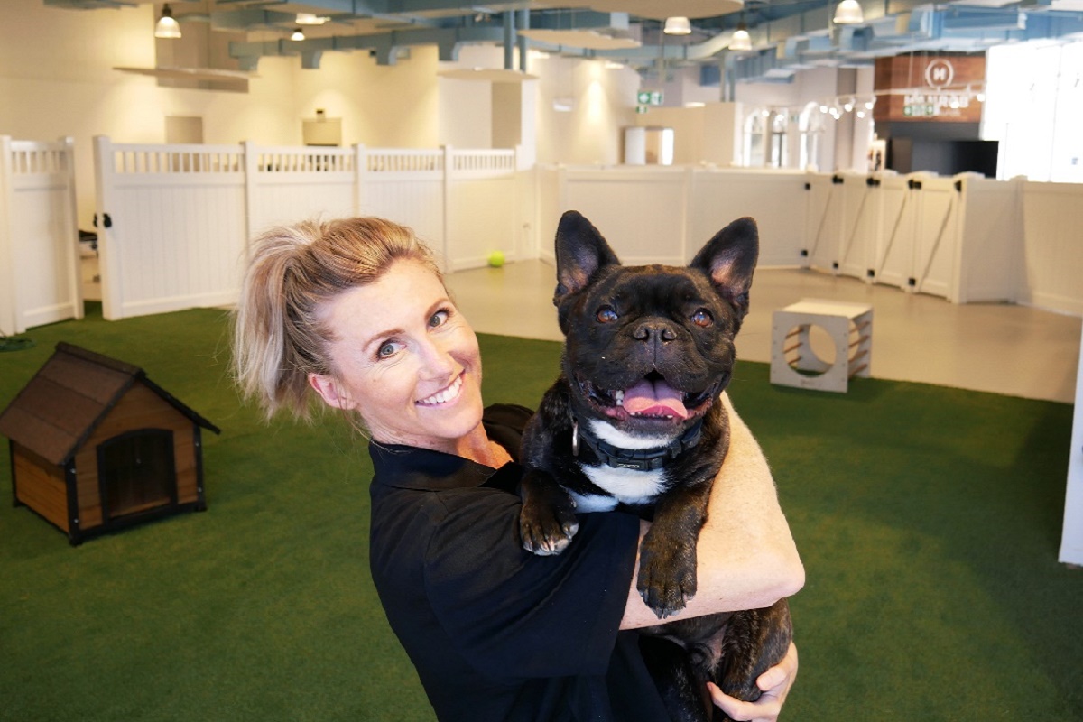 Westfield’s first doggy daycare opens at Warringah Mall Pet Industry News