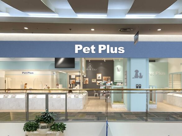 九州の犬同伴可能なショッピングモール！ペットと一緒にお買い物はいかがでしょうか。 ペットとお出かけ