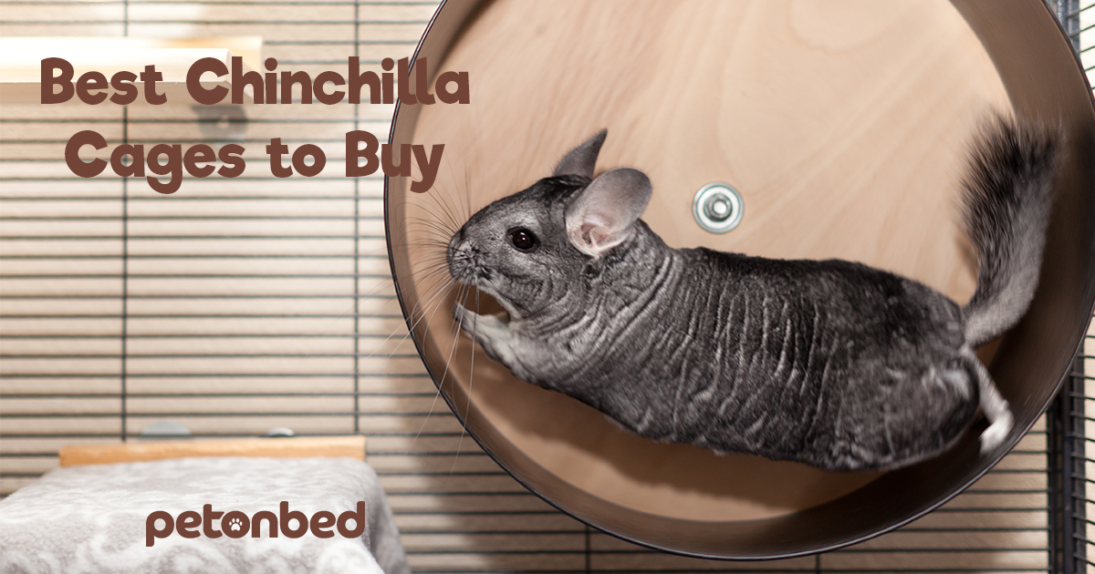 The Best Chinchilla Cages You Can Buy in 2024 Expert Reviews & Buying Guide