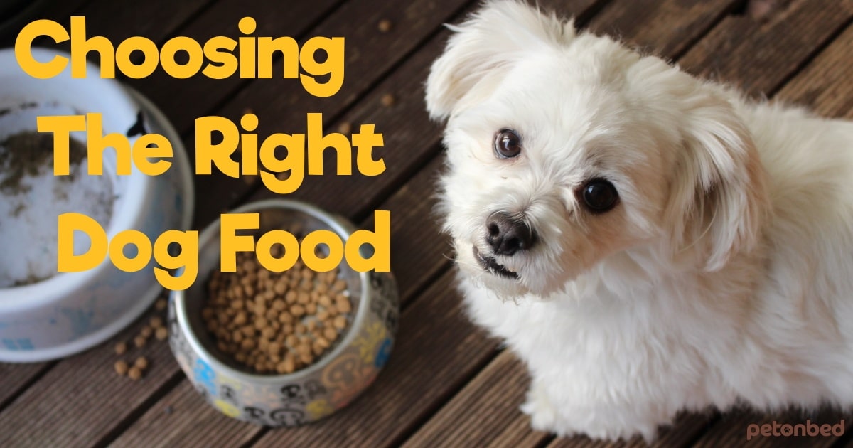 Choosing The Right Dog Food Tips & Tricks • Pet on Bed