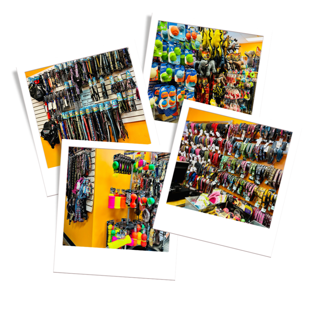 Retail Petopia Dog Boarding