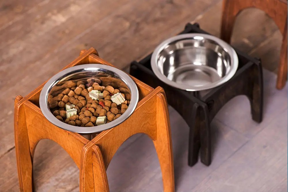 Pros and Cons of Elevated Dog Feeders