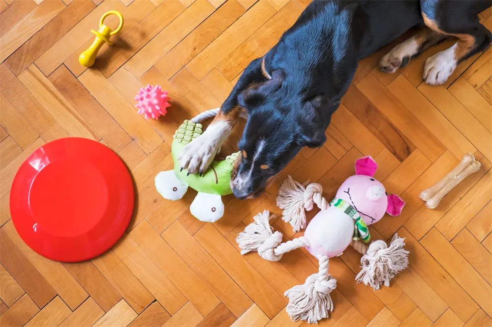 How Petopia Makes Dog Toys