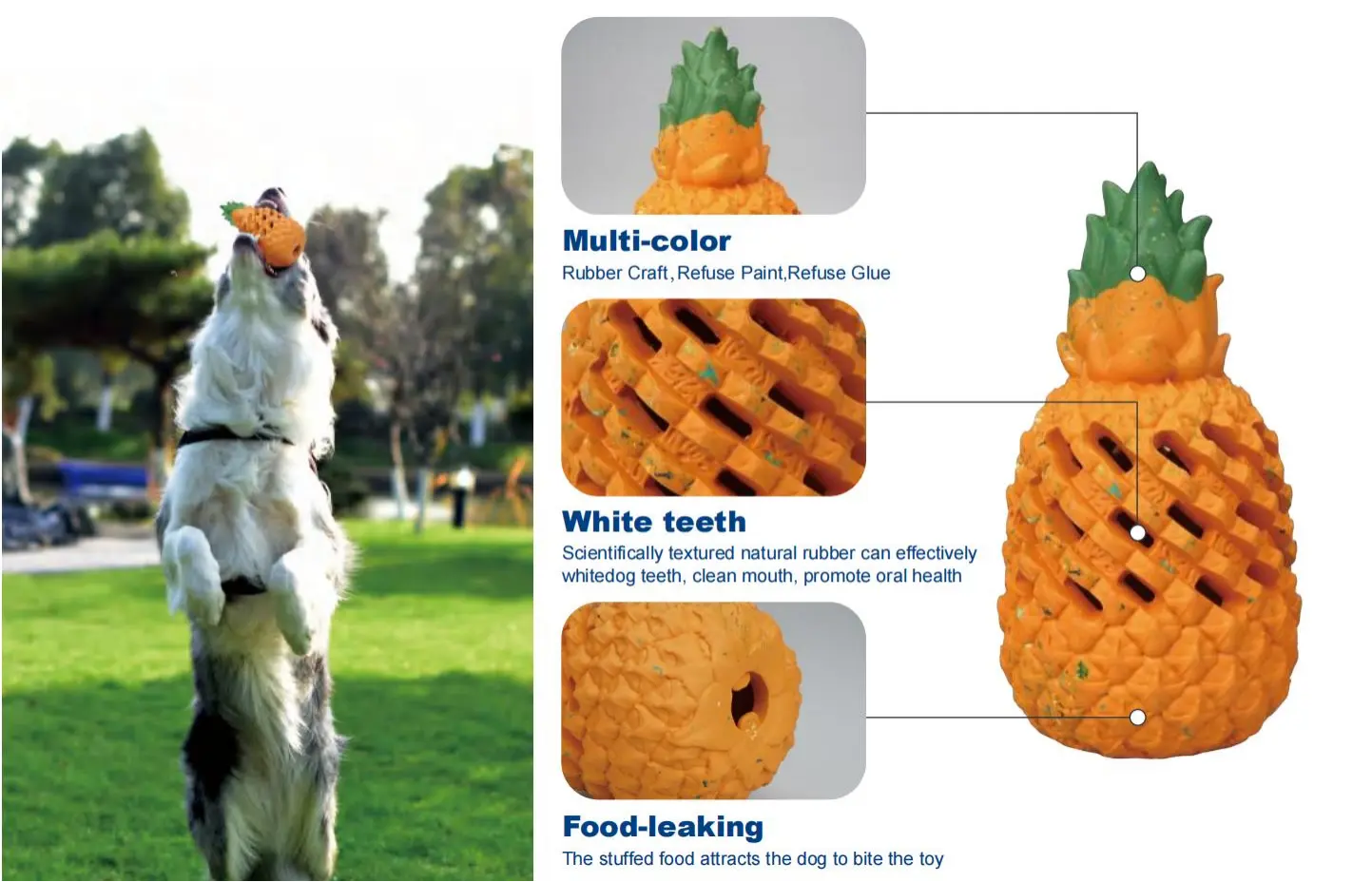 Top 10 EcoFriendly Dog Toys Petopia Sustainable Dog Toys Review