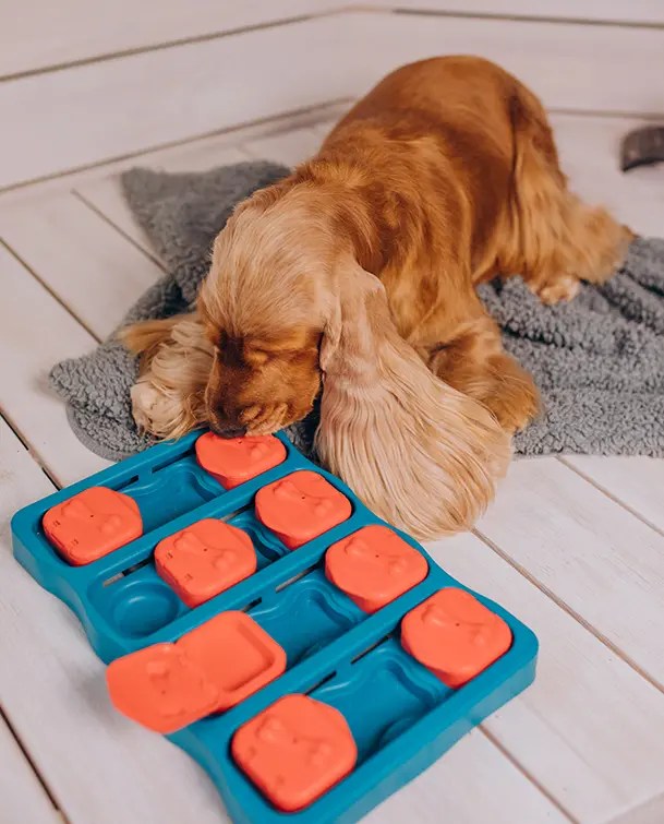 Wholesale Innovative Dog Chew Toys Petopia