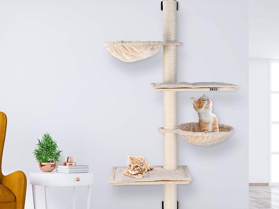 Top 6 SpaceSaving Cat Trees To Purchase In 2022 Reviewed