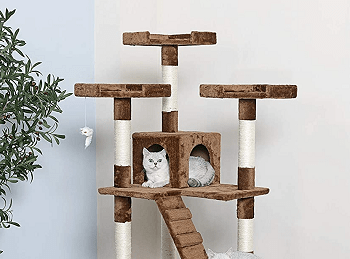6 Top 72-inch Cat Trees Your Pet Will Enjoy Climbing In 2022