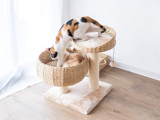Best 6 Weatherproof Cat Trees For Sale Reviewed By Expert