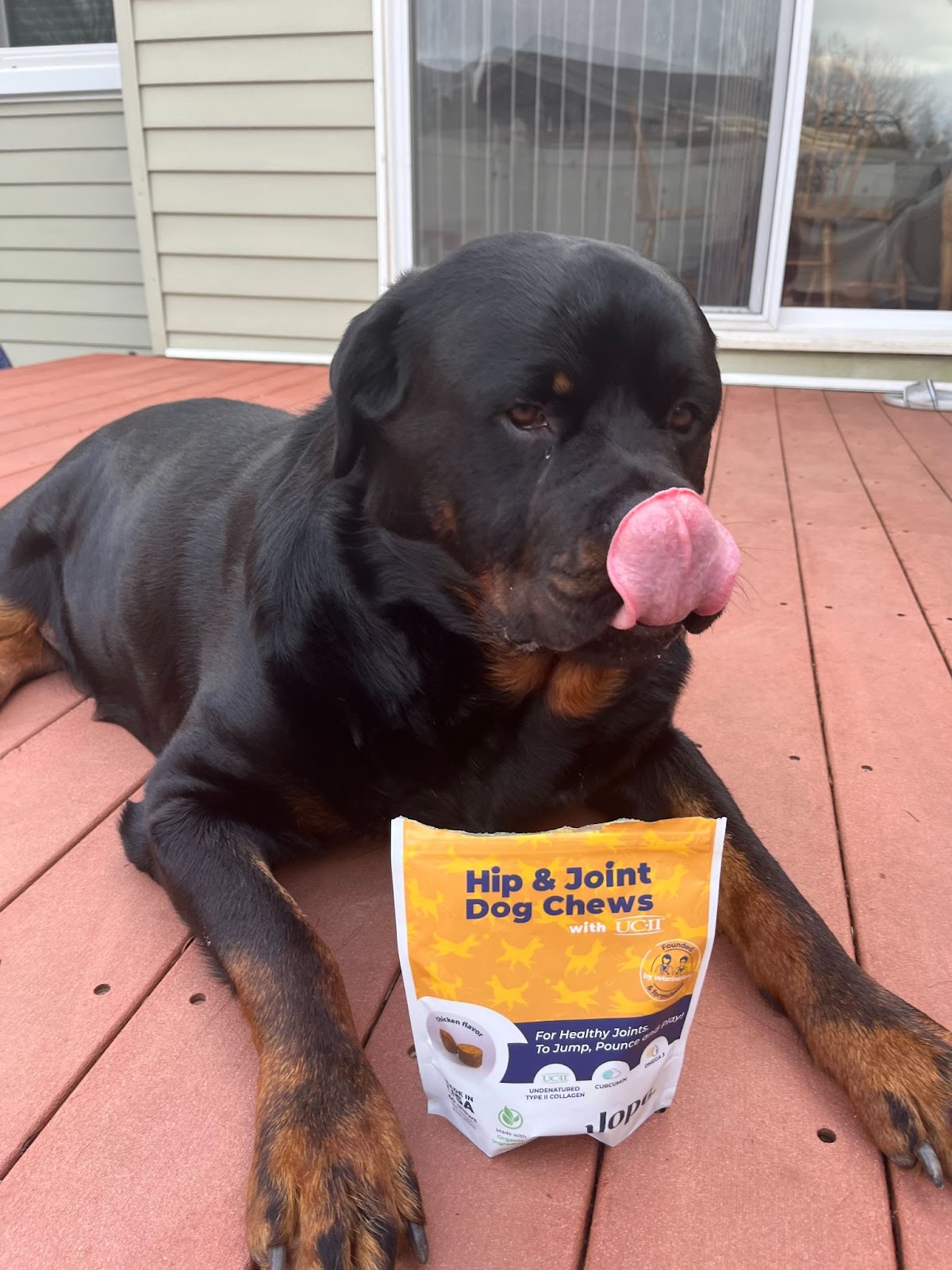 Hip & Joint Pain in Dogs Unveiling the Science Behind Jope’s Dog