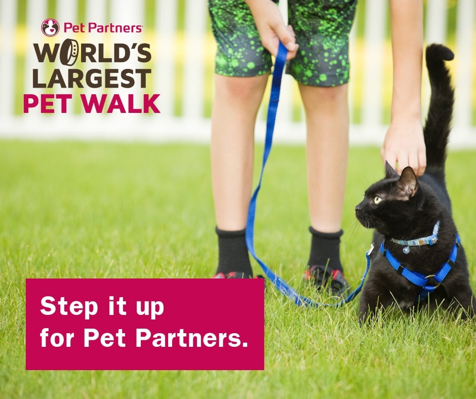 5 Ways to Show Your Support During the World’s Largest Pet Walk Pet